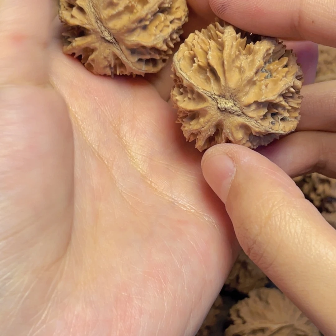 萧***辰桃核把件1 秦岭灯笼灯笼小众