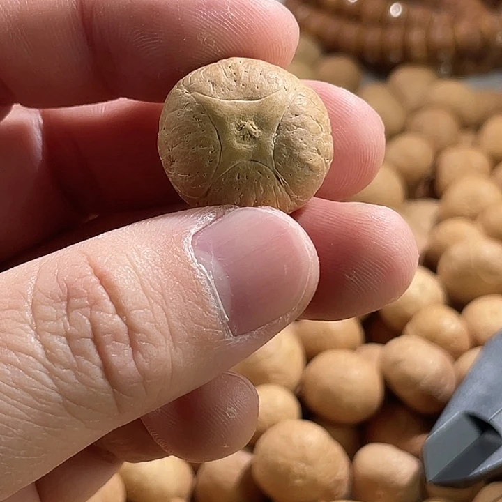 凤眼菩提手串尼泊尔小凤眼