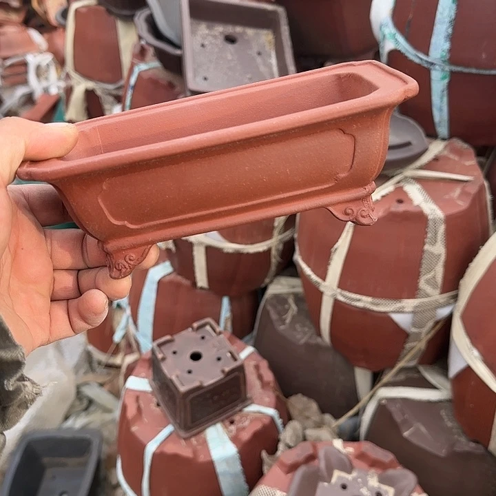 一哈来我这儿吃饭啊亲爱的媳妇啊