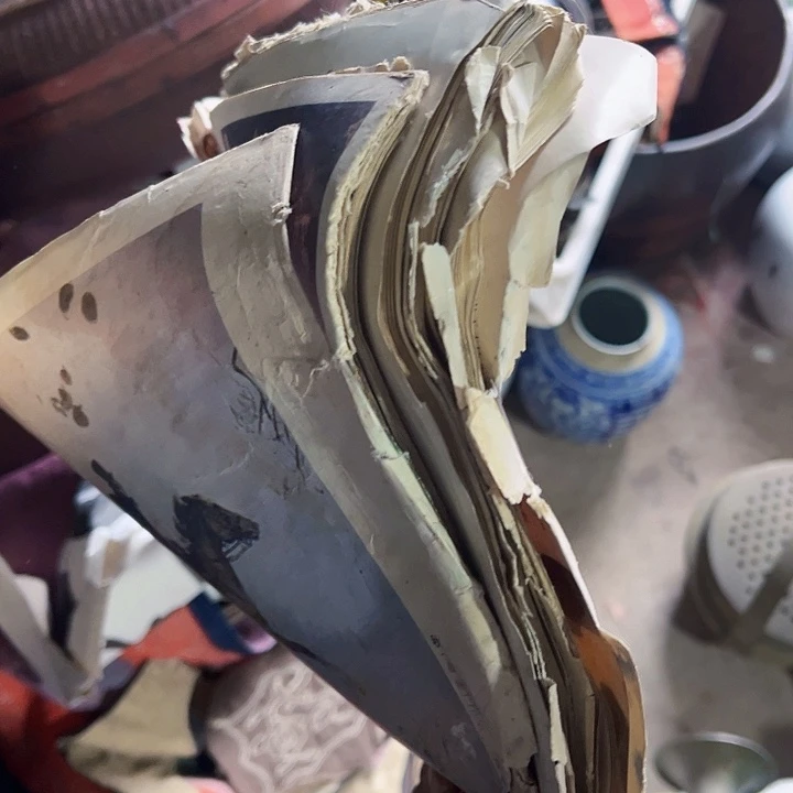 核桃木/黑胡桃（胡桃木）用****鹰