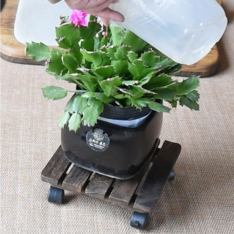 移动花盆托盘带轮正方形接水盘万向轮花托底座滑轮底托滚轮花盆托