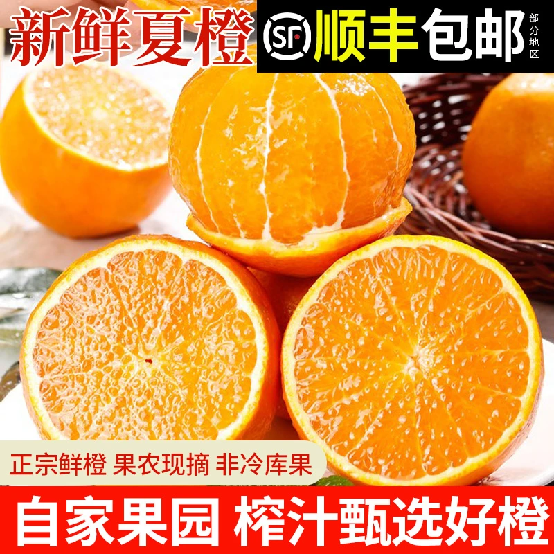 梦三峡新鲜湖北秭归夏橙顺丰包邮水果产地直发当季当季时令橙子