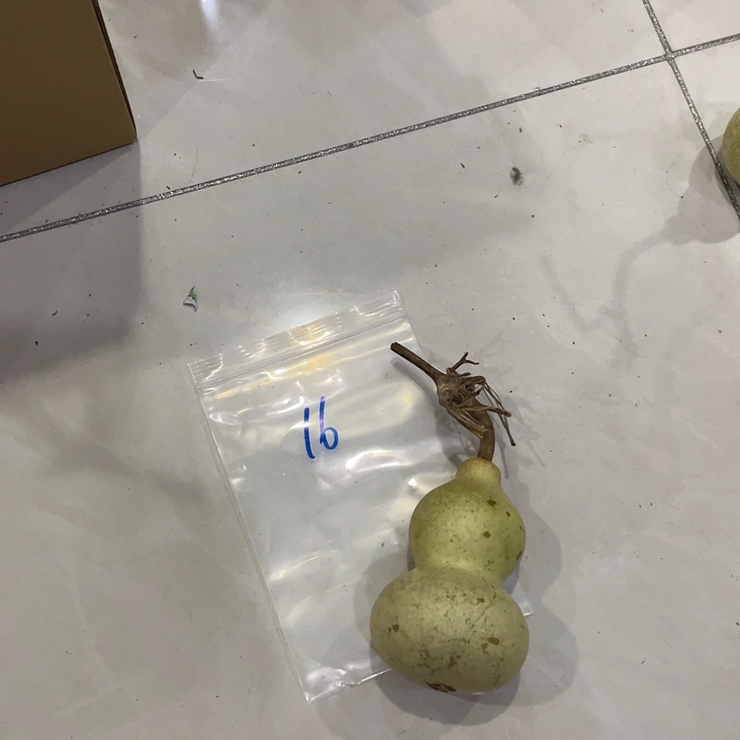 东***往房管局钜惠皇贵妃哈哈哈