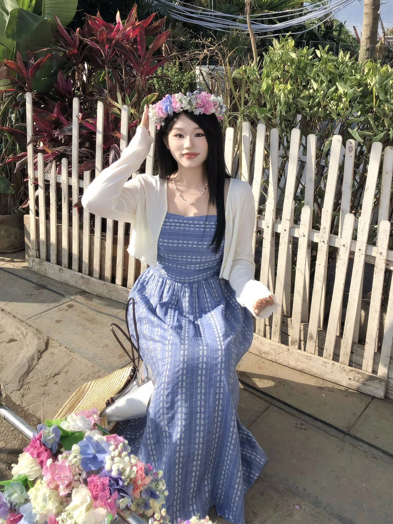 月半鱼【海岸续歌】茶歇法式吊带连衣裙女春夏季设计感蓝色格子长裙