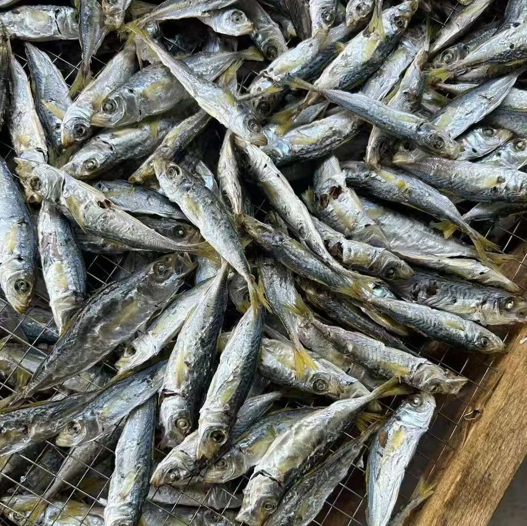 汕尾特产 淡晒灯光巴浪鱼干带头 熟晒黄尾巴浪鱼干 即食海鲜干货