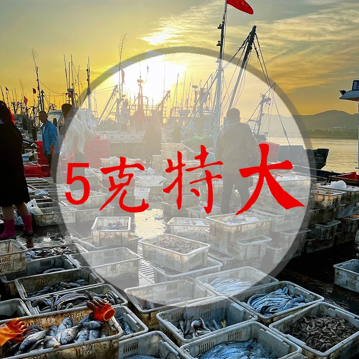 【5克一对】渔民生晒海生海长干货 汤料 煲汤 5对起顺丰包邮