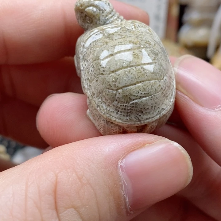 硅化珊瑚（珊瑚玉）颈饰未镶嵌