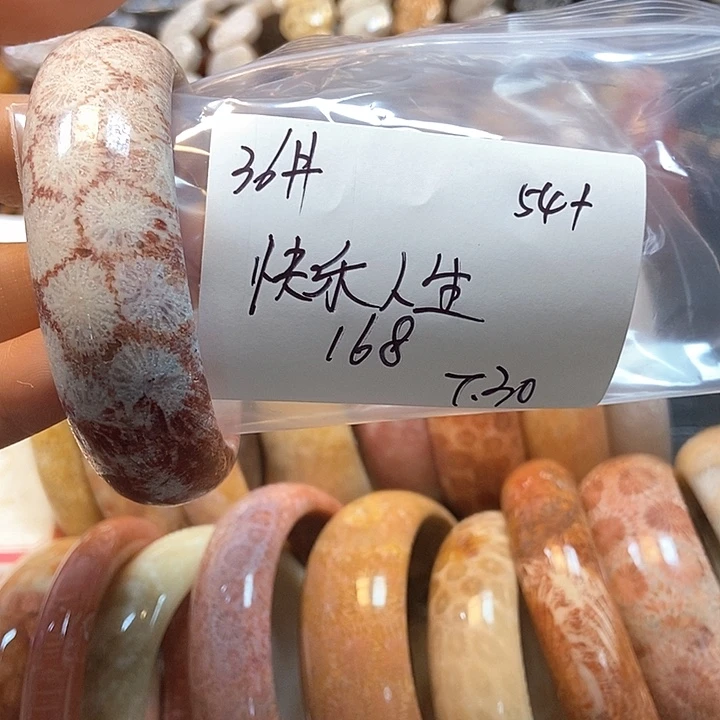 硅化珊瑚（珊瑚玉）11未镶嵌快****36