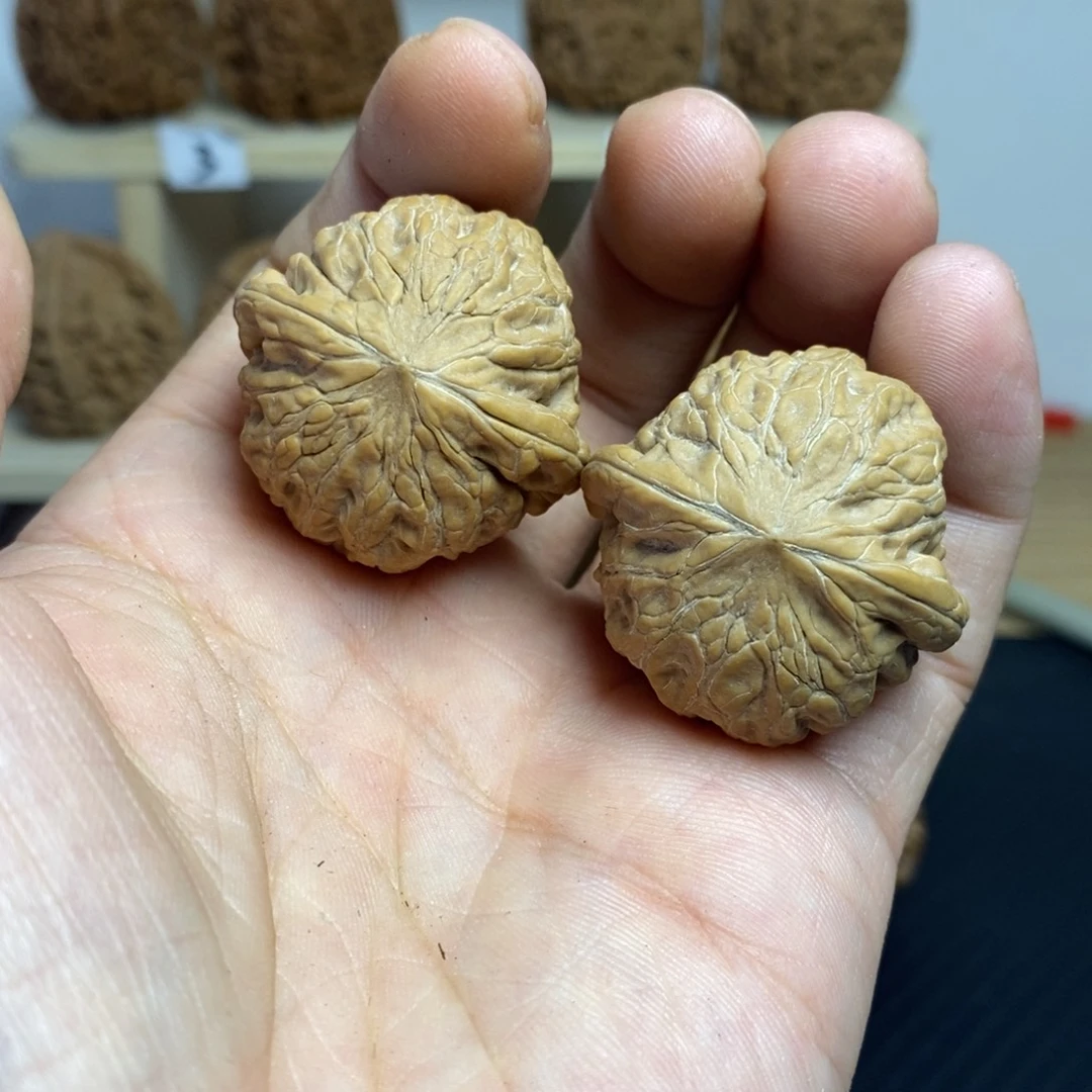 大叶紫檀（黑酸枝木类）34铁锤