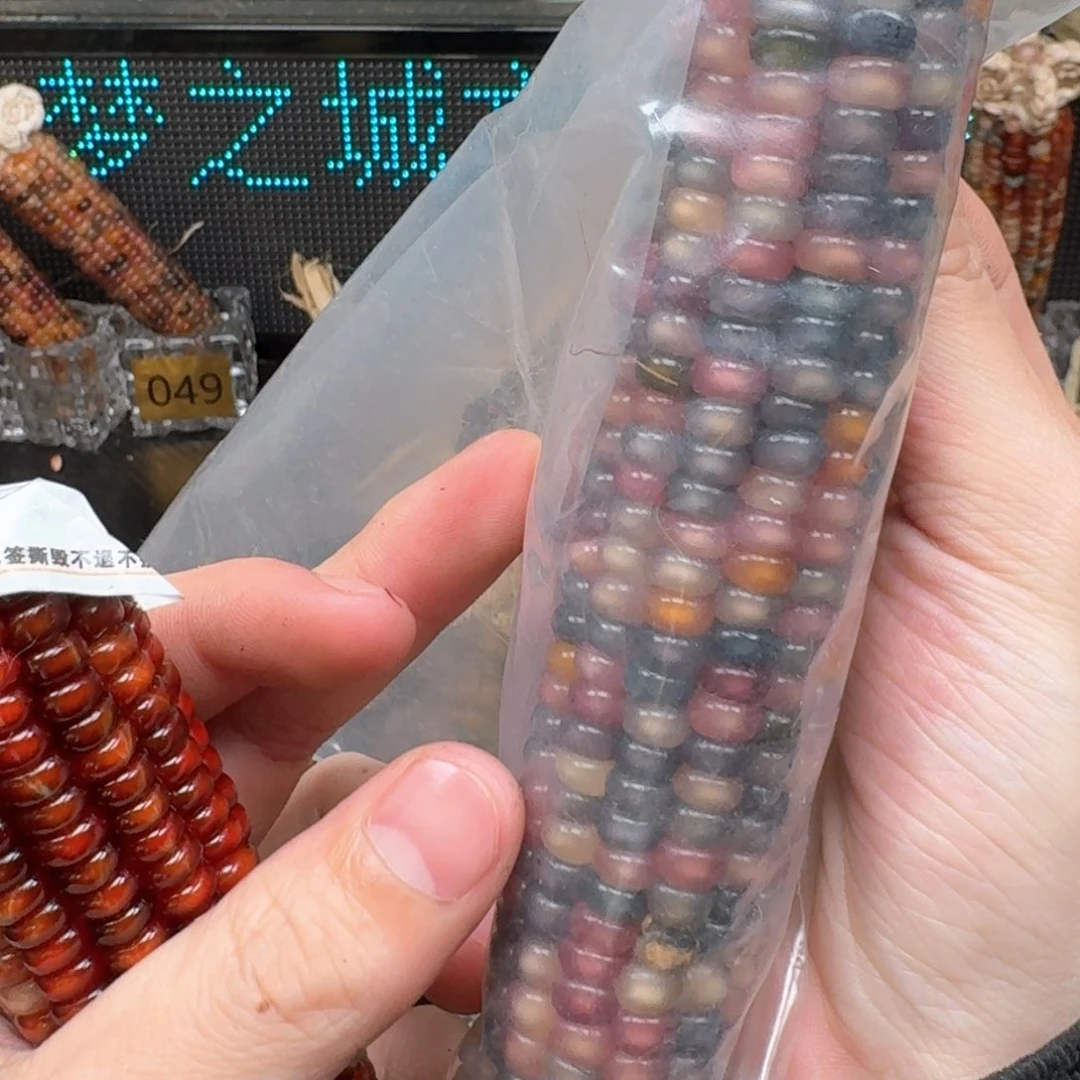 柏香籽/百香籽吊坠ʚ**ɞ
