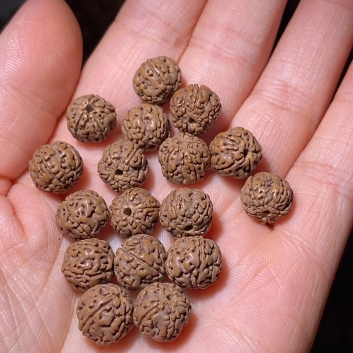 大叶紫檀（黑酸枝木类）雄*单圈
