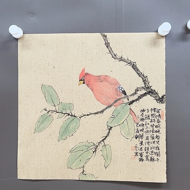 国画55555555555555555