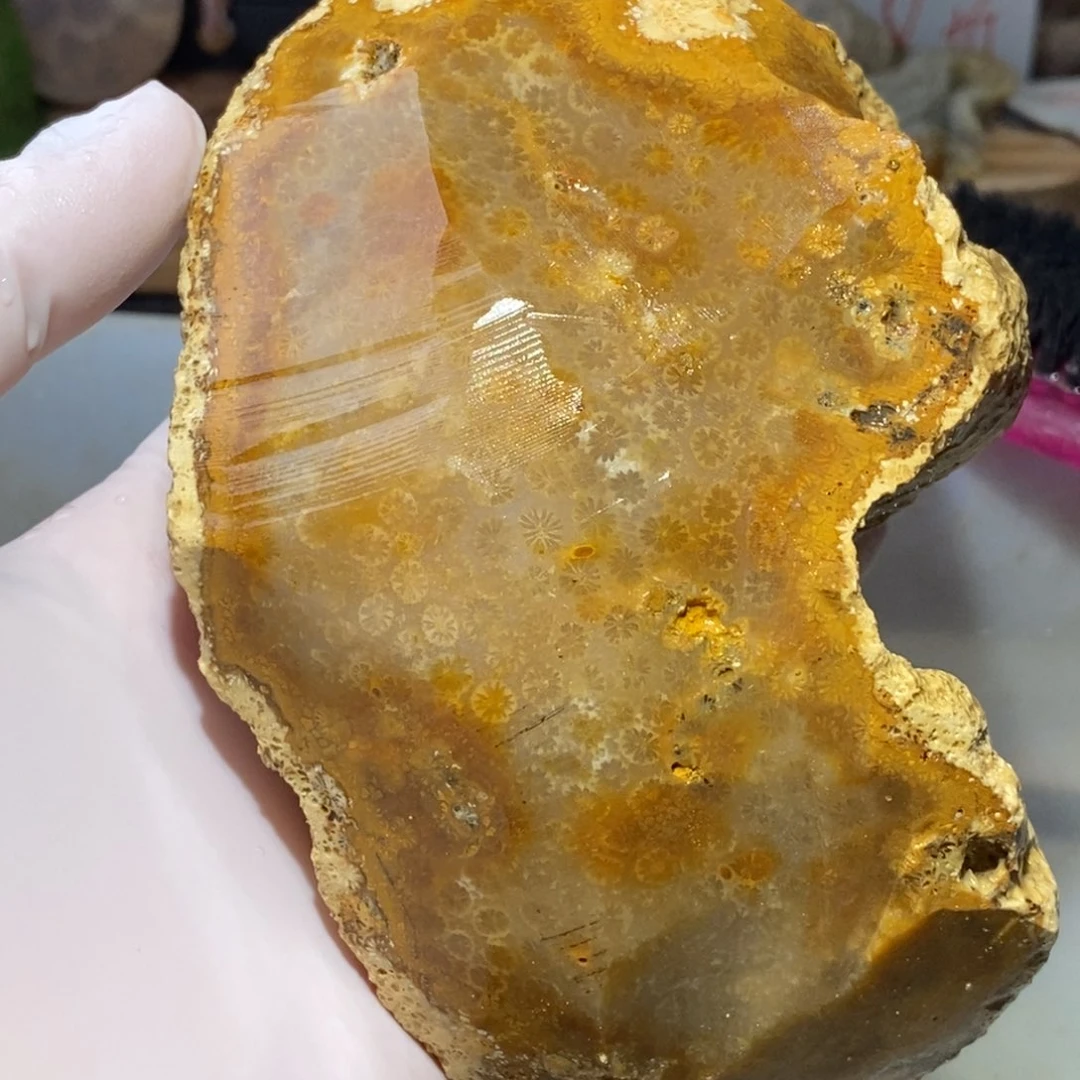【闪购商品】硅化玉颈饰未镶嵌