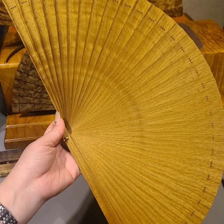 金丝楠24小叶桢楠金丝楠木苏扇