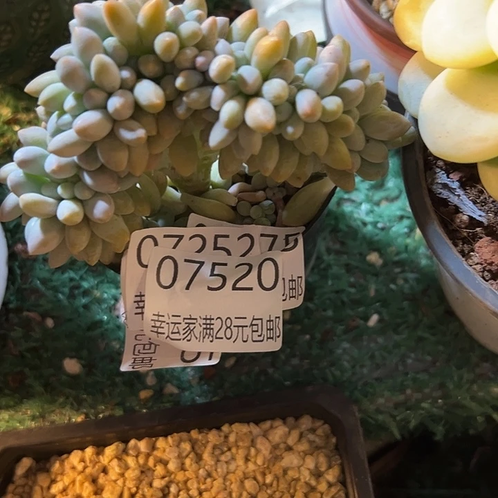 幸运的是我还没遇到过