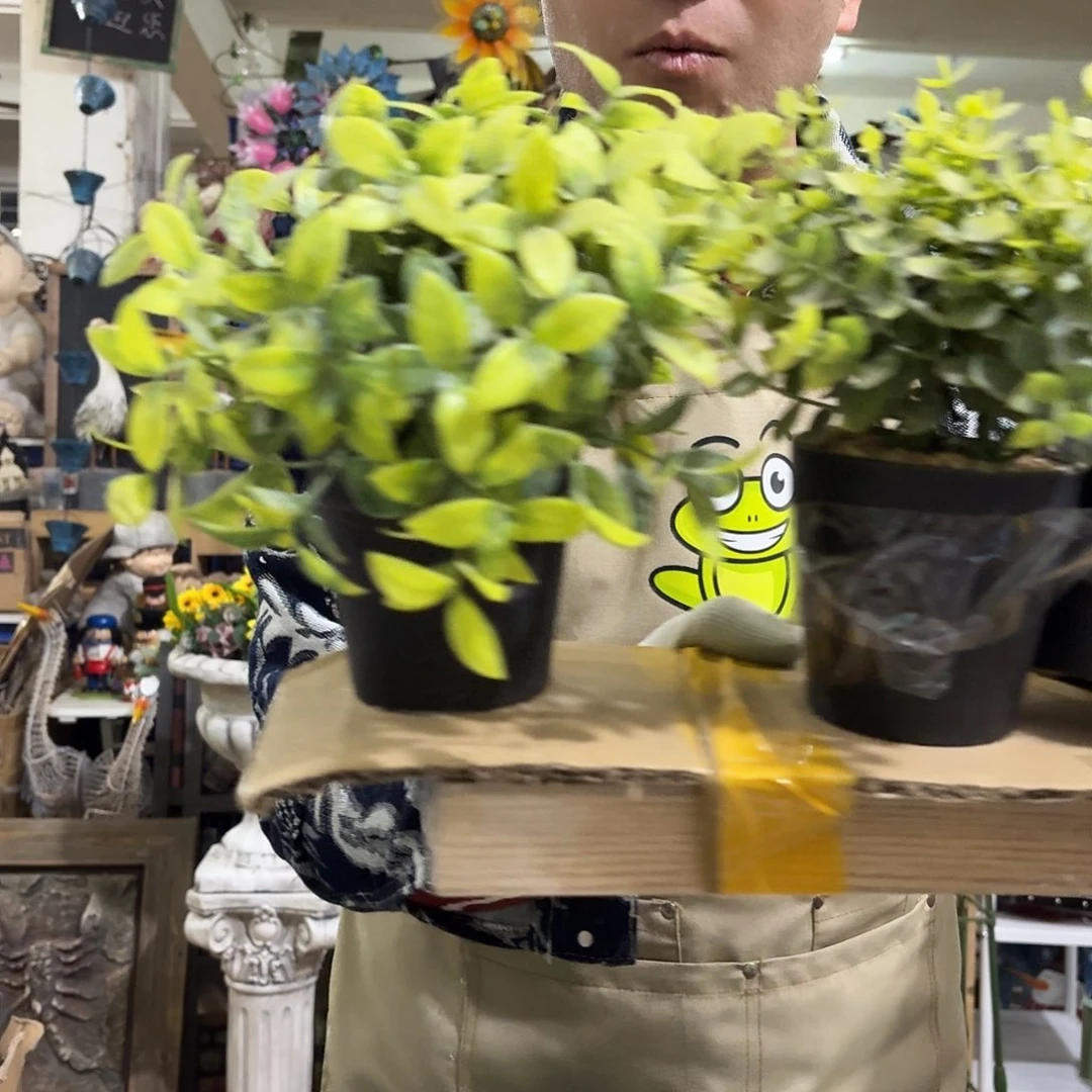 核桃木/黑胡桃（胡桃木）