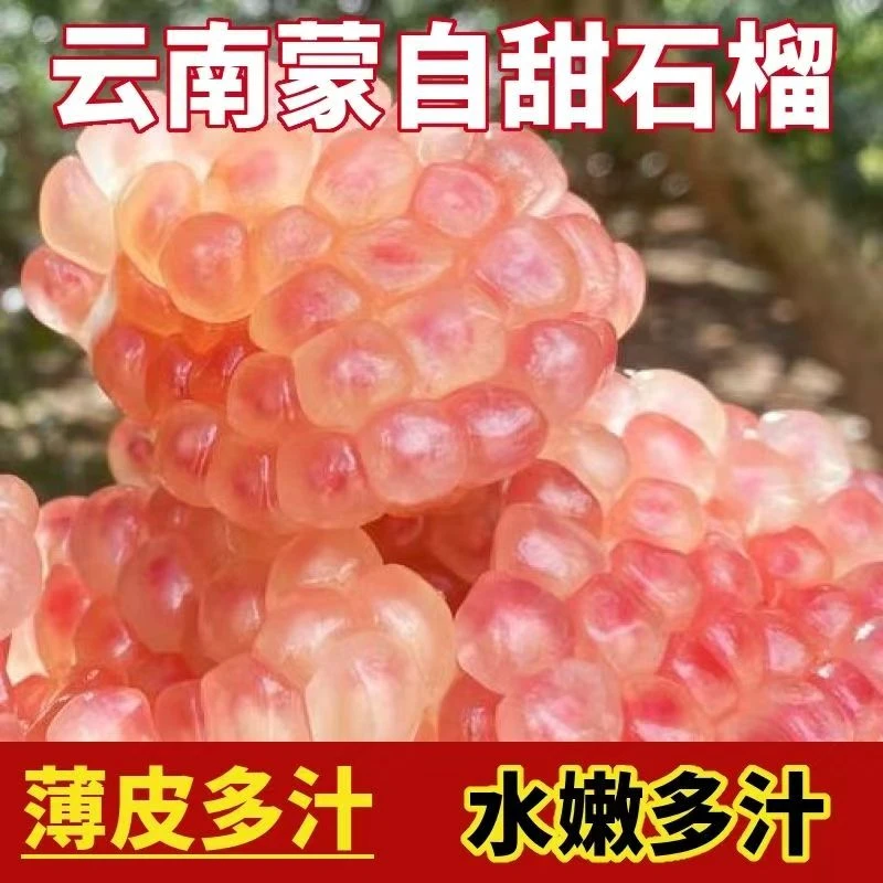 正宗云南蒙自薄皮老品种甜石榴新鲜采摘爆汁水果