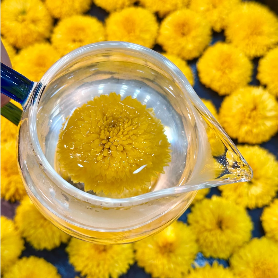 【皇菊 菊花 绣球】没有雨水花，泡水清香！