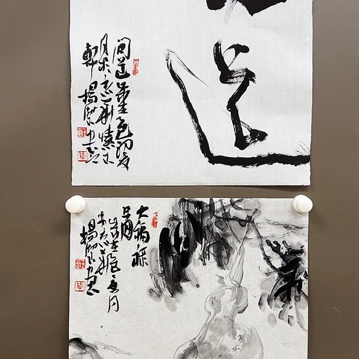 国画宇5555555555555555555