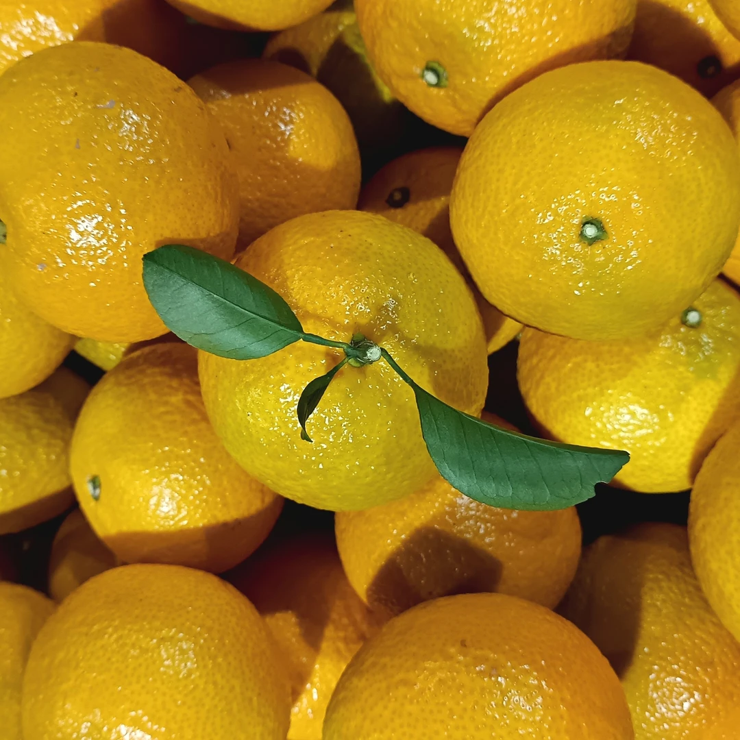 精品甜桔柚带箱重9斤起（纯甜清甜好甜一果三味果香味浓好吃）