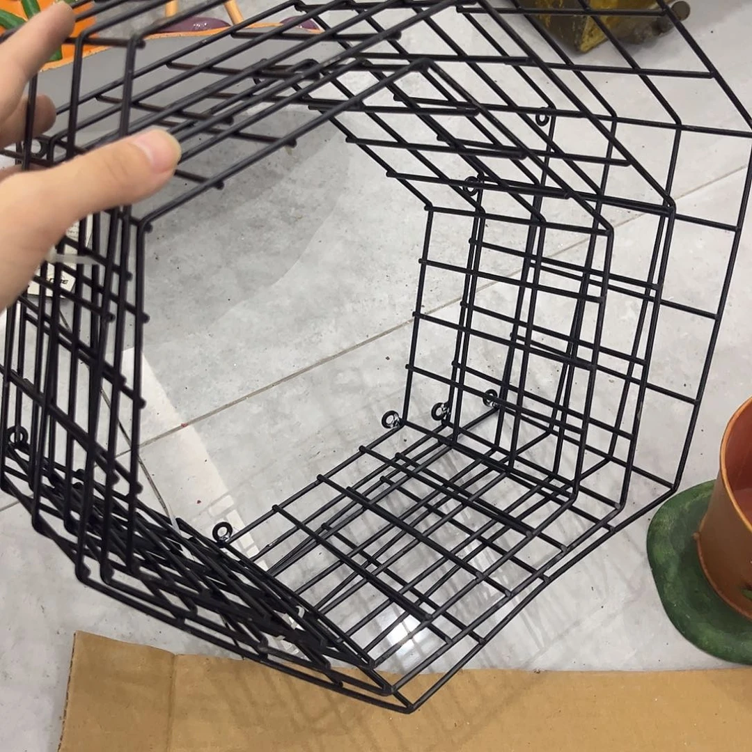 孤品给力给力哈哈哈哈家