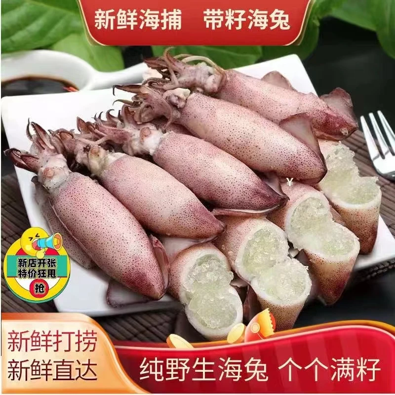 AAA新鲜海兔10头/包 350克/包籽乌海鲜批发 连云港发货