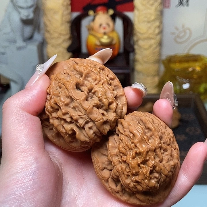 橄榄核手串/手链h b b b b b b b b b b