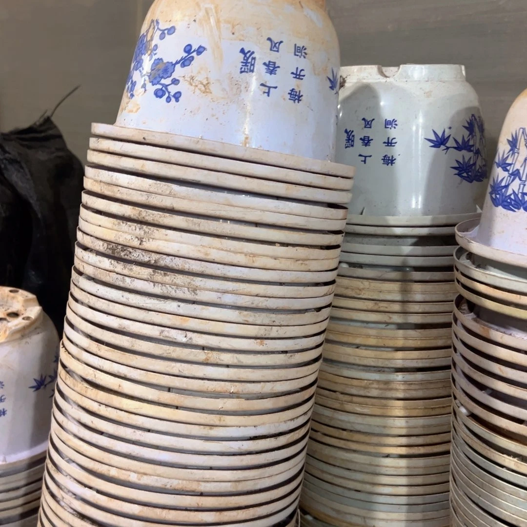 富贵花开盆21口径13.5高 15个