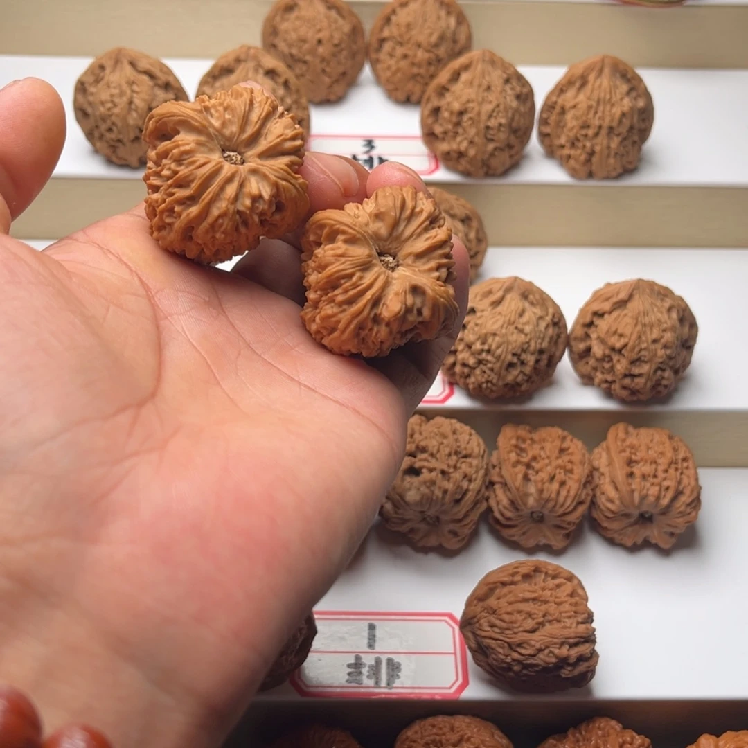 核桃手串/手链39.5蚂蚁拉丝凹底逐鹿山地