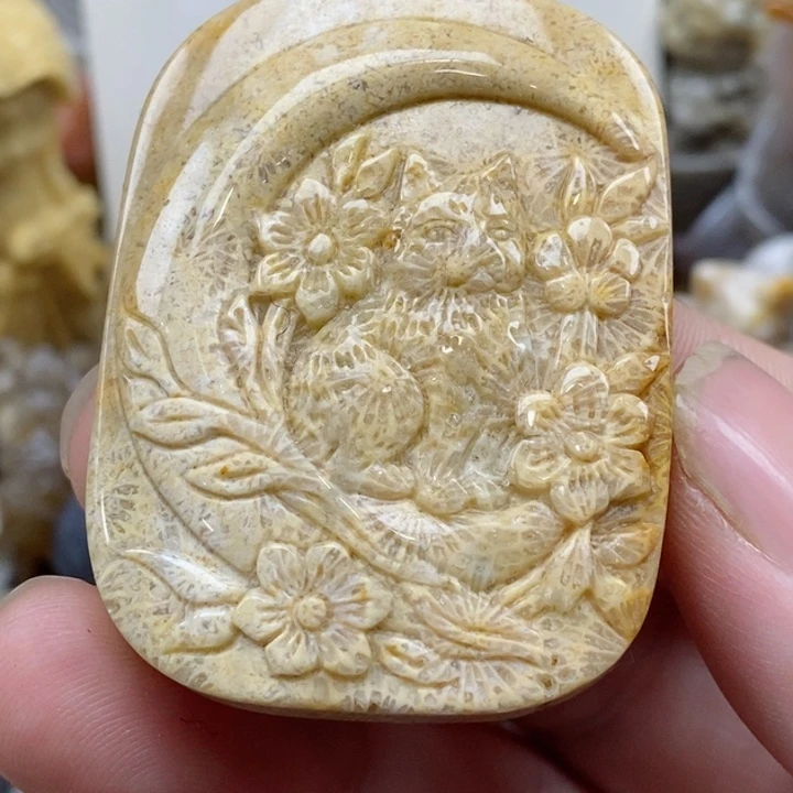 颈饰未镶嵌硅化珊瑚（珊瑚玉）