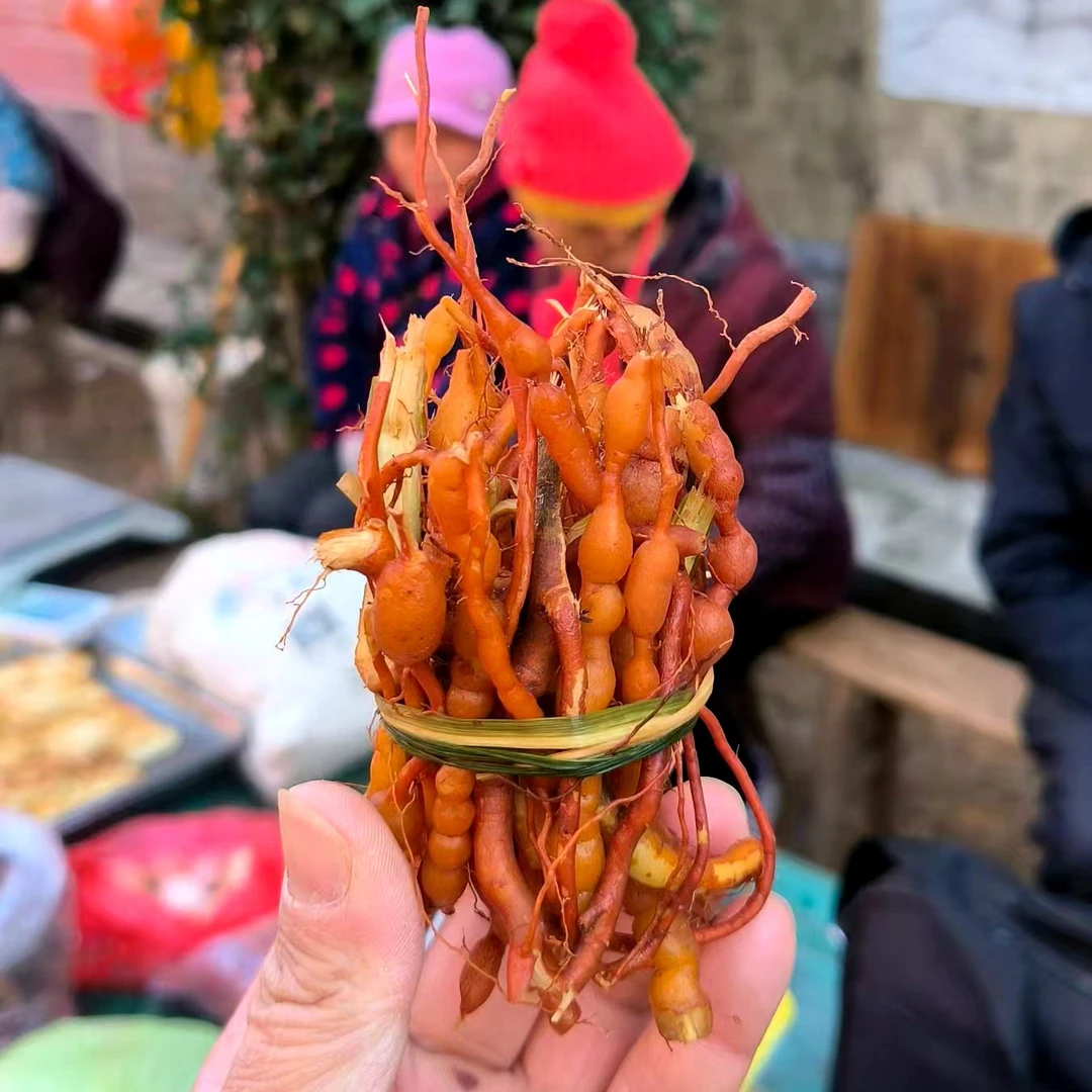 黄 鸡卵子鸡 筋参农户山上采挖包邮深山食用干净营养煲鸡汤鲜美