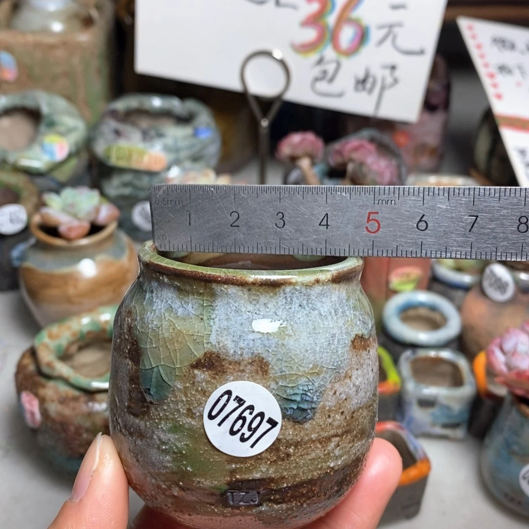 花盆拍5送一个小礼物
