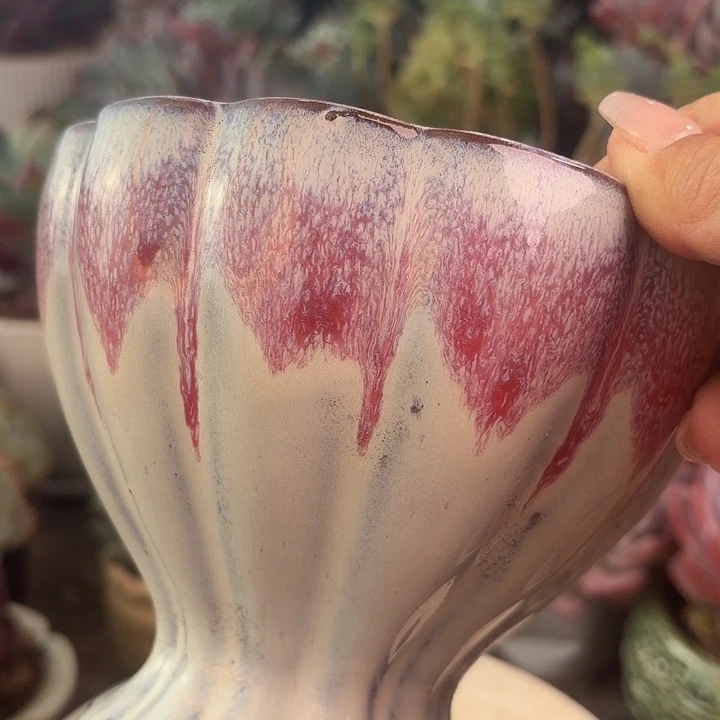 花盆花盆花盆花盆