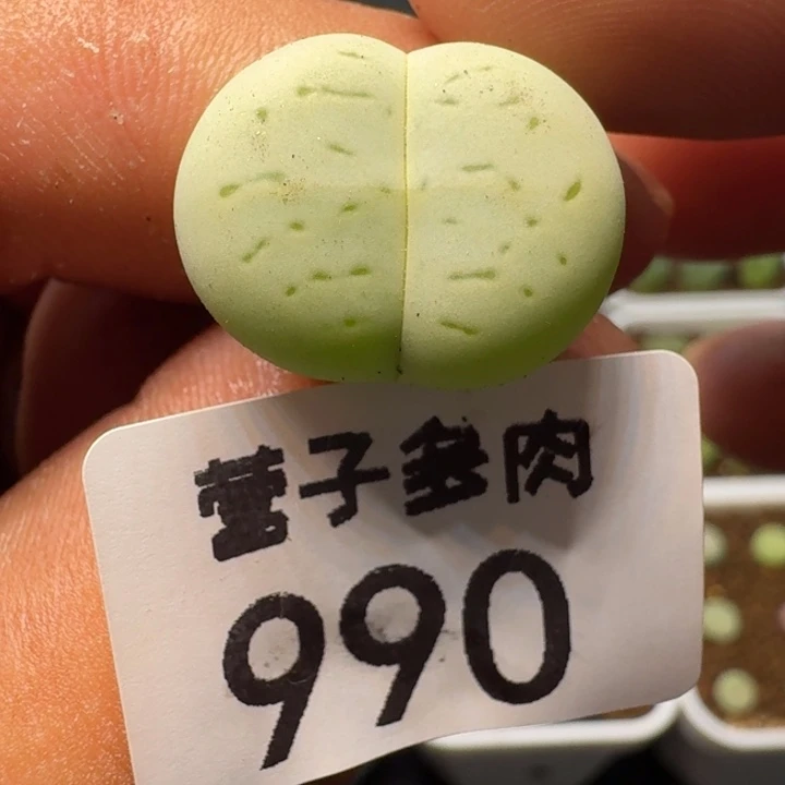 福利
