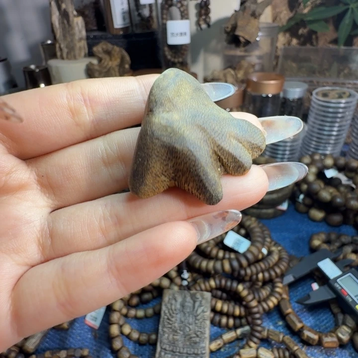 沉香碎屑沉香原母树海南老料包头子老料（默认打孔穿好