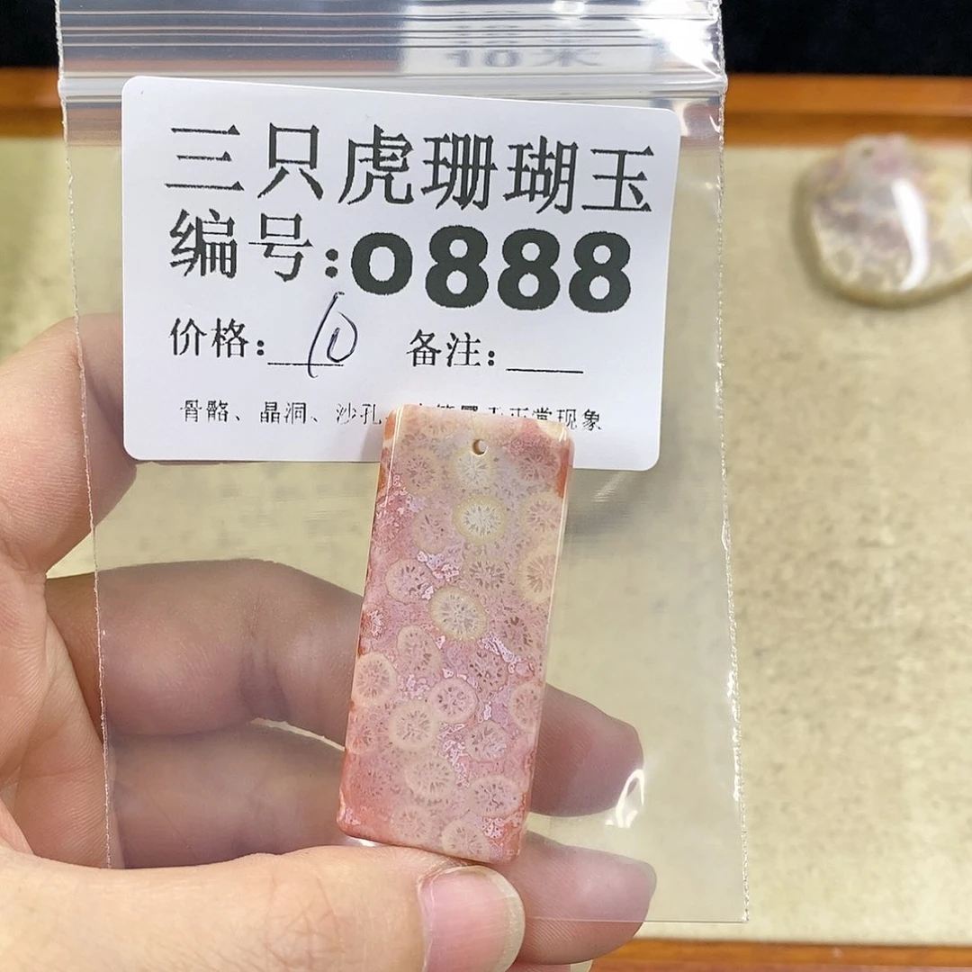 硅化珊瑚（珊瑚玉）1未镶嵌冯*