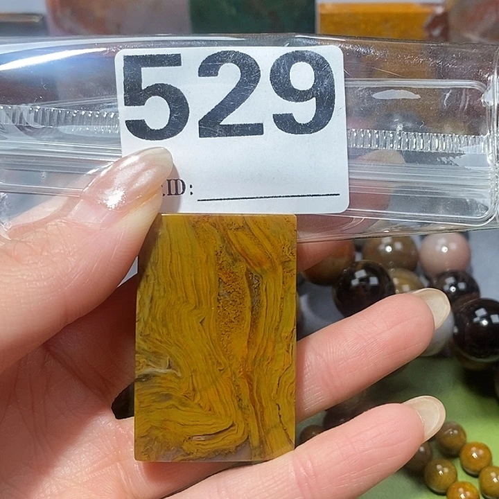 硅化玉未镶嵌天然北票树化玉吊坠