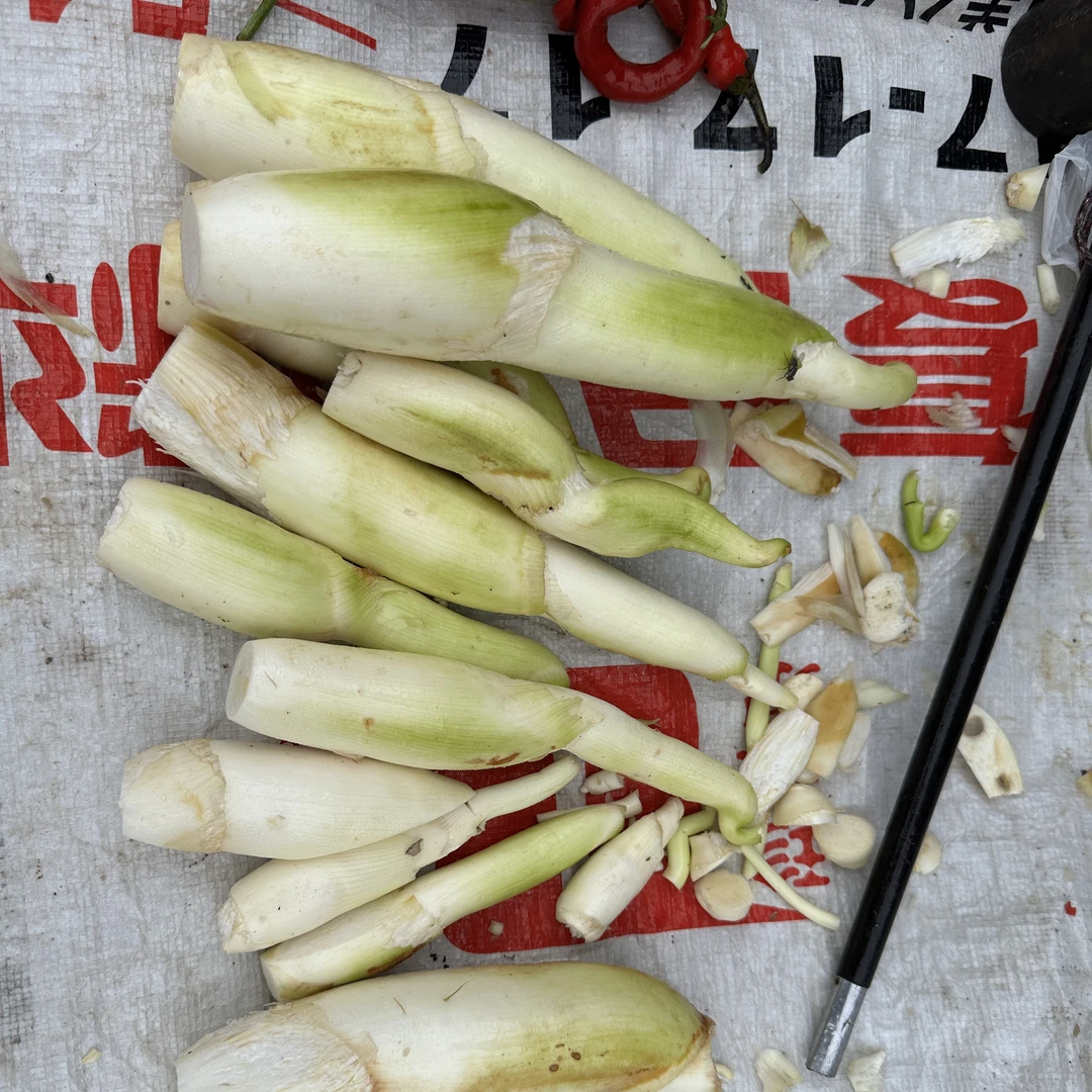信阳姐妹花-农村自家种植新鲜蔬菜茭白高瓜