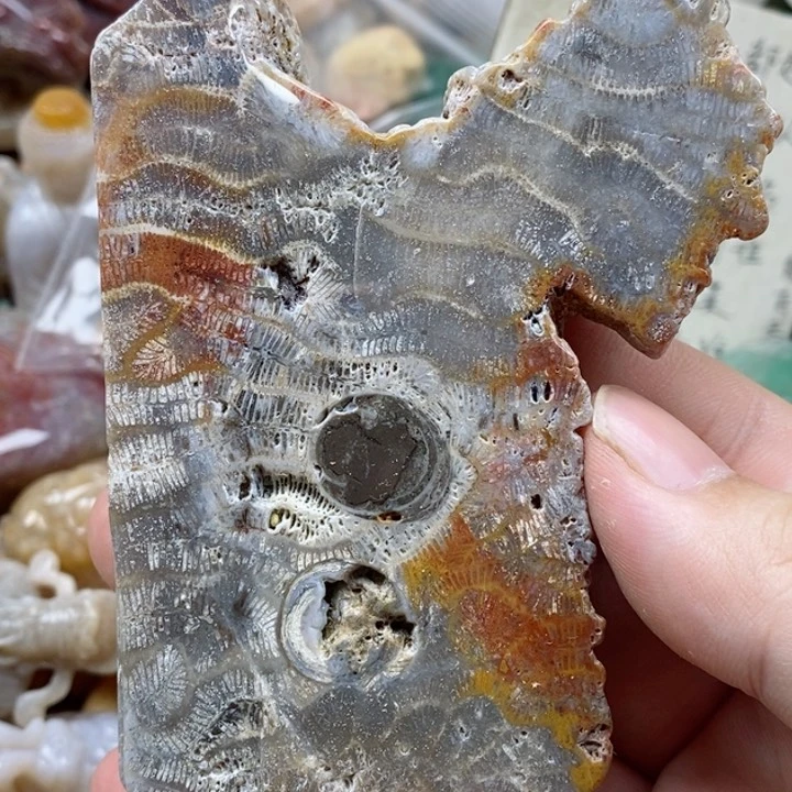 硅化珊瑚（珊瑚玉）未镶嵌颈饰