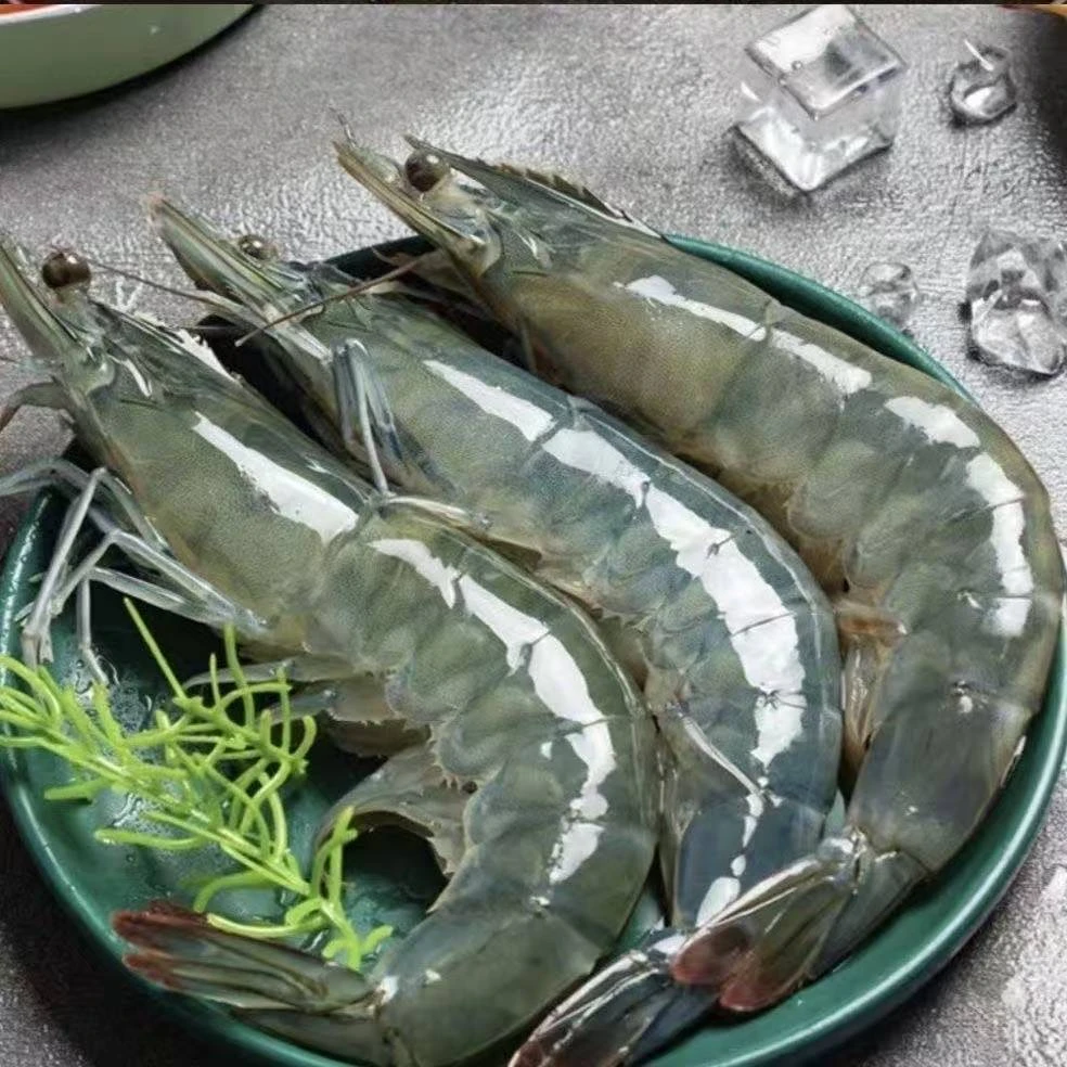 Y青岛大虾【30-40大虾】肉质鲜嫩大个头海水大虾单只15~18cm 4斤共50~60只海虾YM9.18