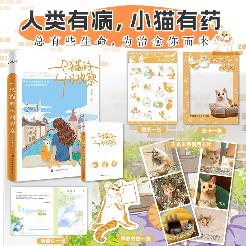 一只猫的人间观察寐语者 小橘猫王米米“捡到”人类作家的真实故事