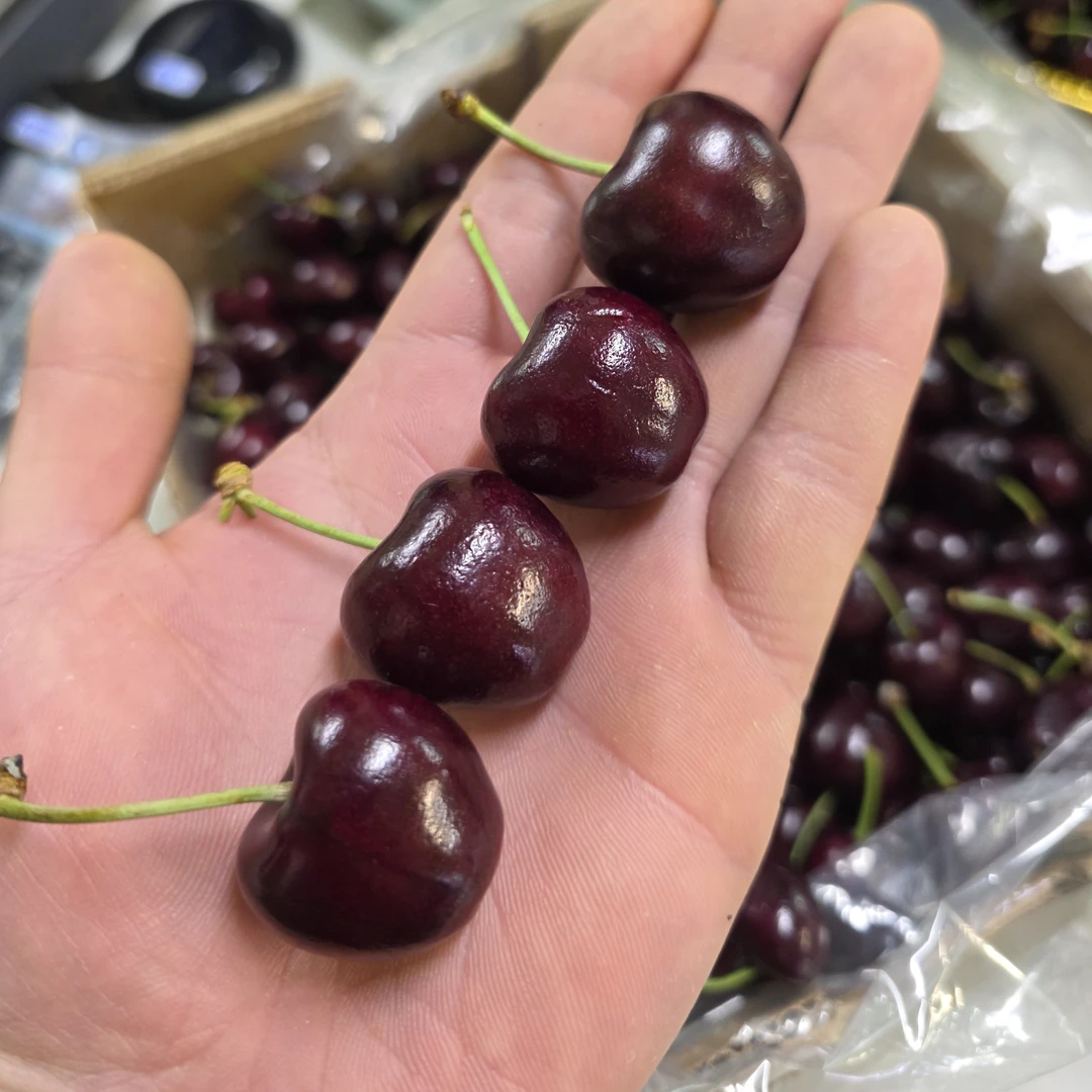 【果然好】SANTINA1JJD车厘子5斤装黄金版(同城配送)智利车厘子空运智利