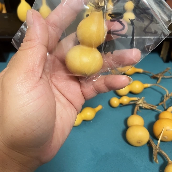钱***鸽直播间开播福利一元钱歌专属