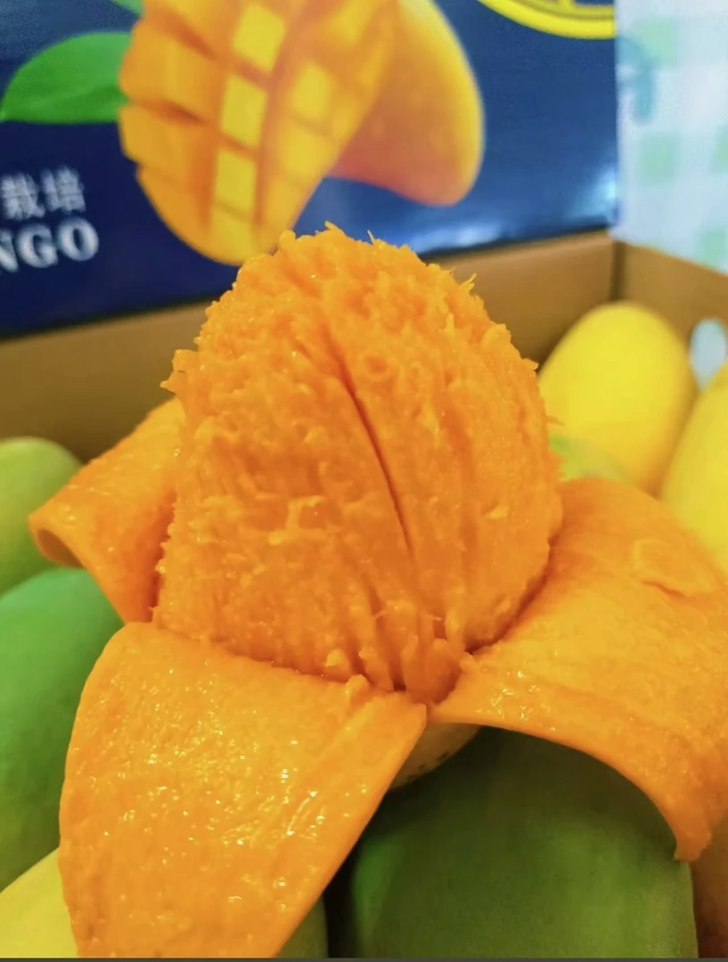 广西百色小台农芒果核小肉厚味道浓郁爆甜多汁