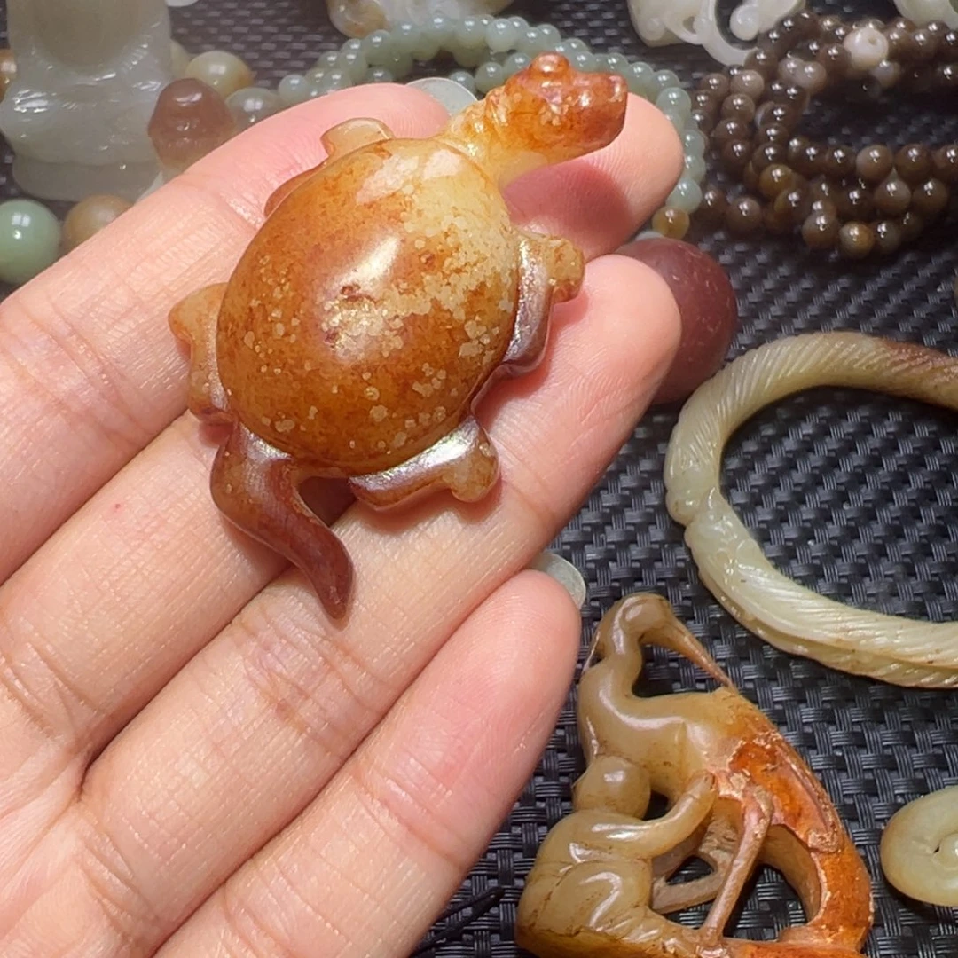 缸一物一图 所见所得
