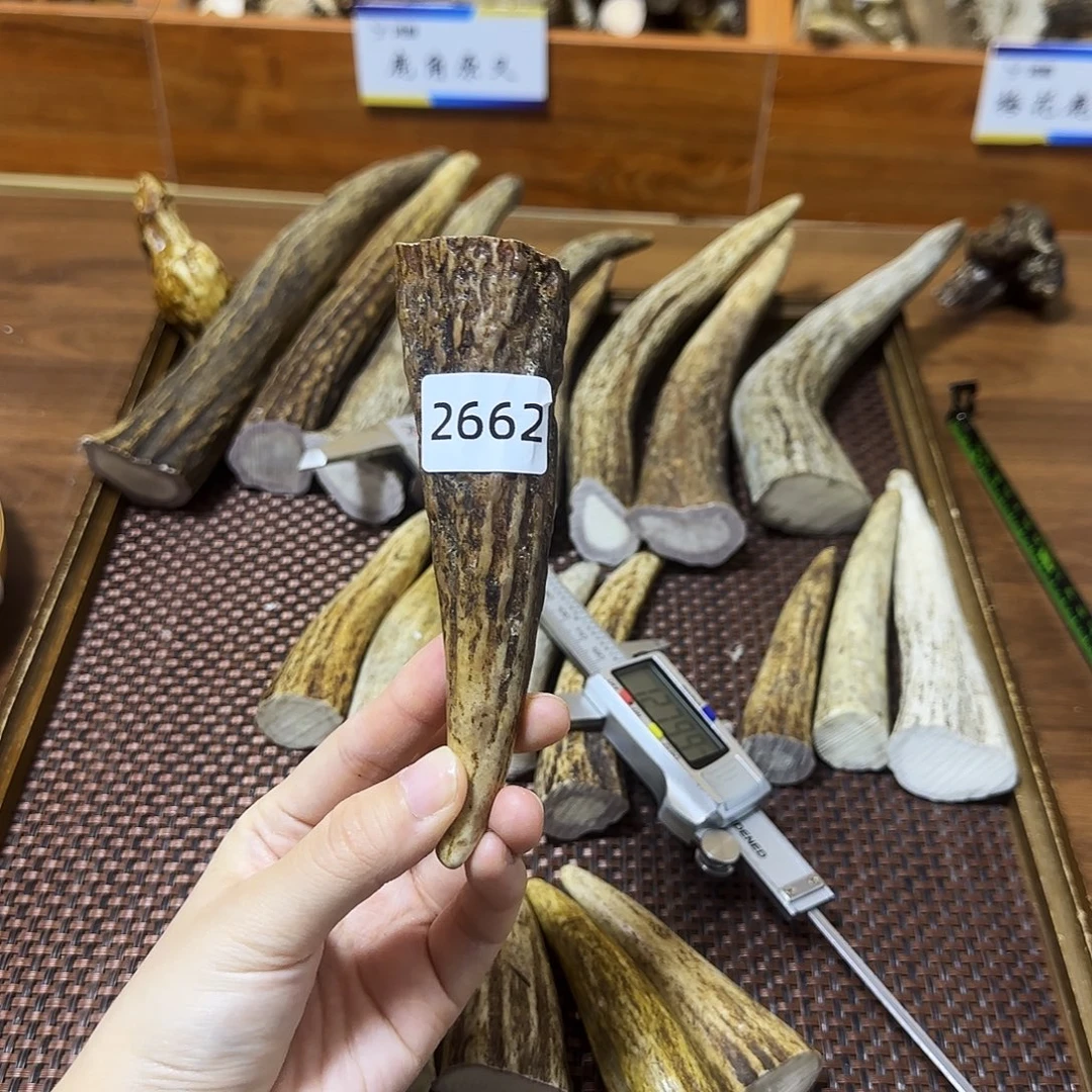 鹿骨手串/手链2662角尖