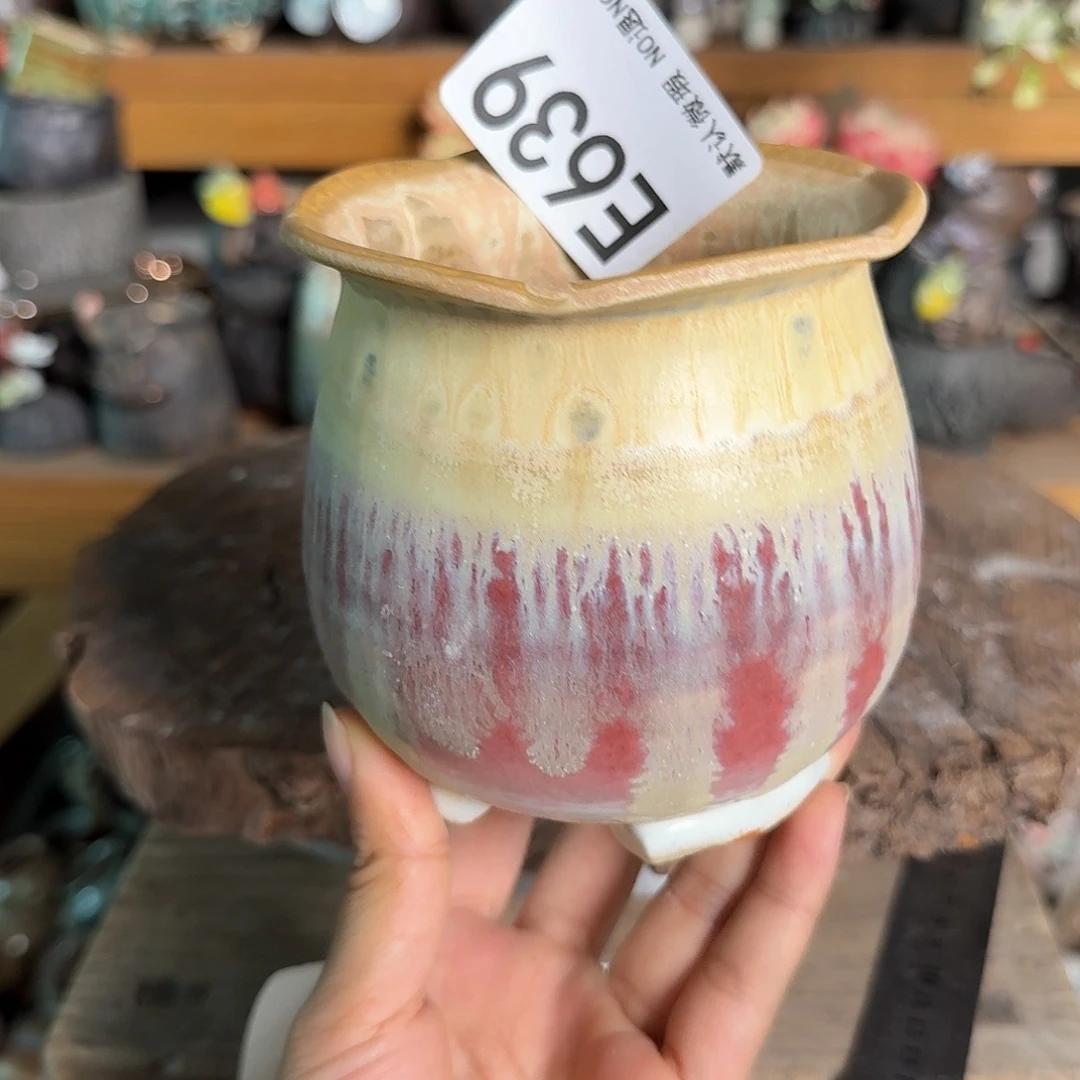 吹***风重庆小燕子欢迎大家639