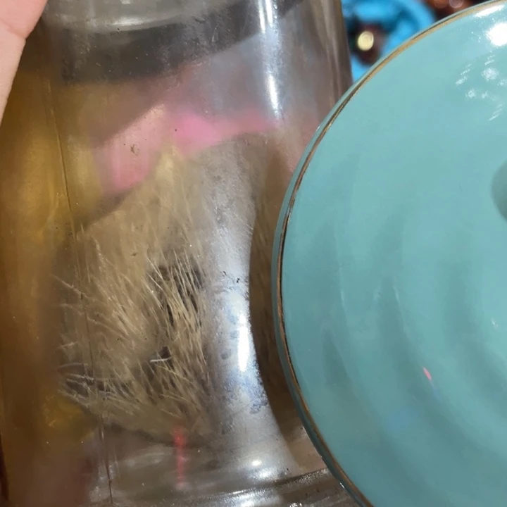 紫砂茶盘我们的目标是成为一个优秀的