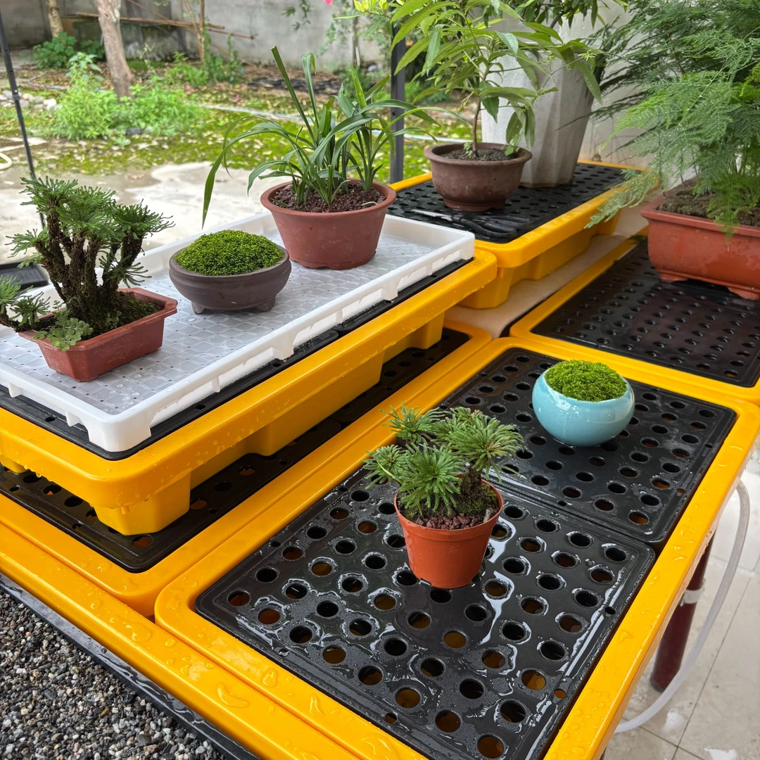 小盆栽微型盆景养护沙盘沙床养护加密水孔防积水阳台多功能养护台