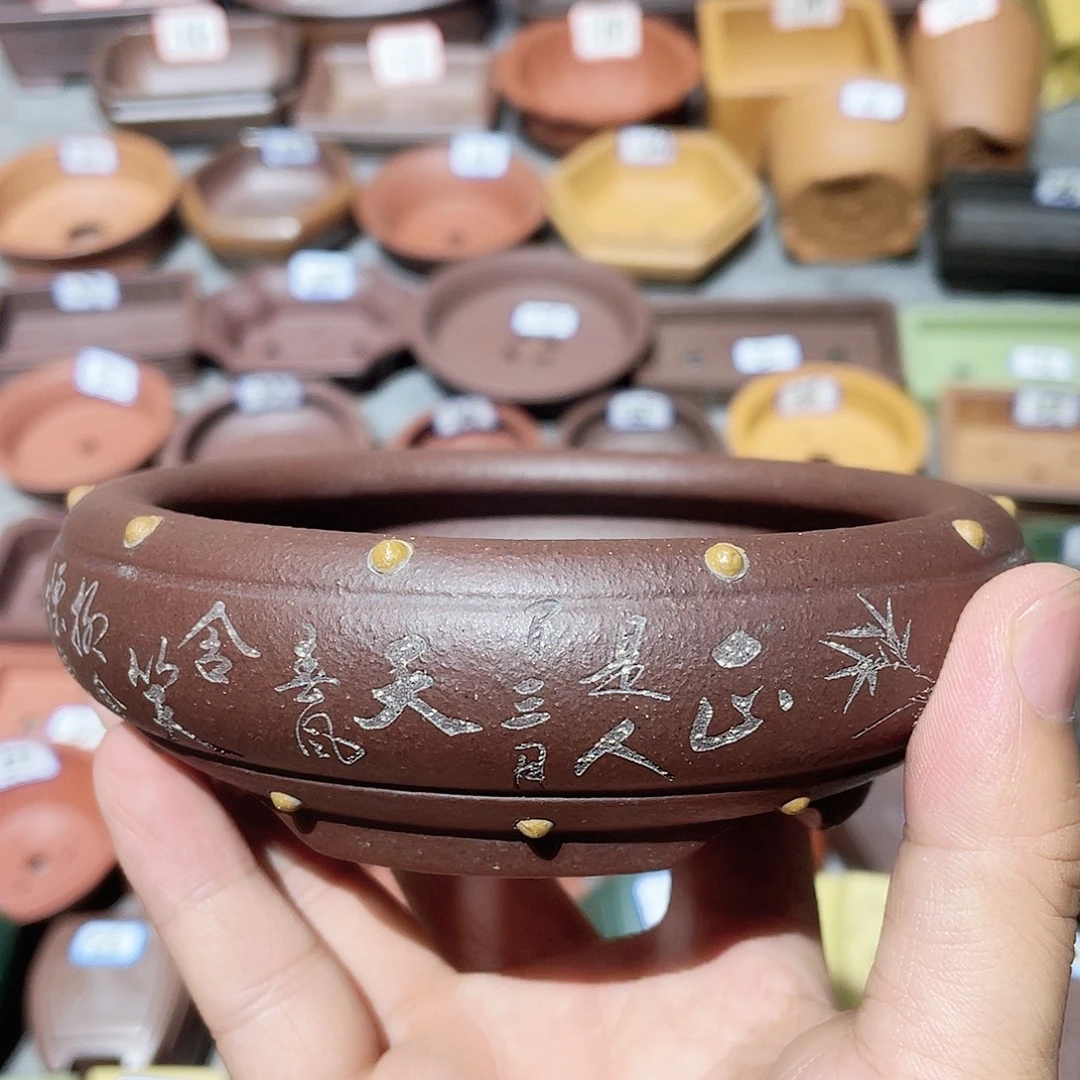 紫砂小盆10.5*3cmmmm